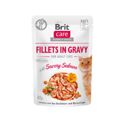 BRIT CARE CAT POUCH FILLETS IN GRAVY WITH SAVORY SALMON ENRICHED WITH SEA BUCKTHORN AND NASTURTIUM 85G